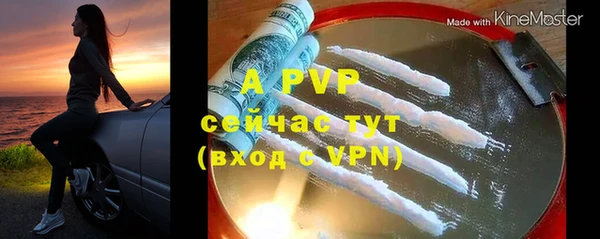 дживик Бородино