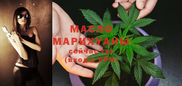 дживик Бородино