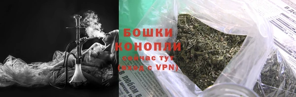сатива Бугульма