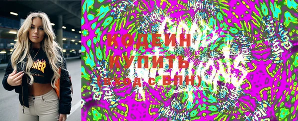 дживик Бородино
