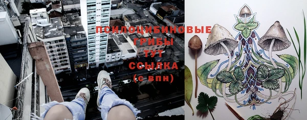 jwh Белокуриха