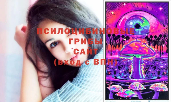 сатива Бугульма