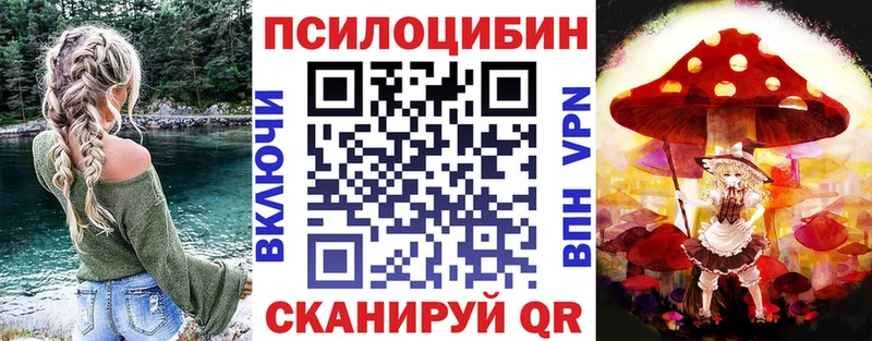 где найти наркотики Северск Псилоцибиновые грибы Magic Shrooms