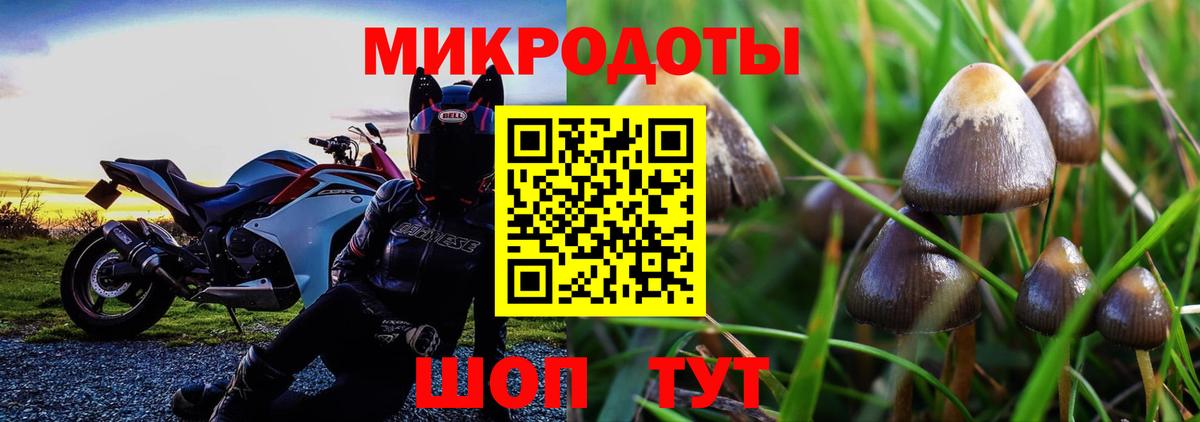 Галлюциногенные грибы GOLDEN TEACHER  Галлюциногенные грибы Magic Shrooms  Вход с VPN  Северск 